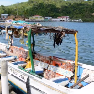 Roatan Mangrove Channels - Roatan 21 Tours