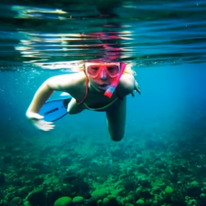 Glass Bottom Tour + Snorkel - Roatan 21 Tours