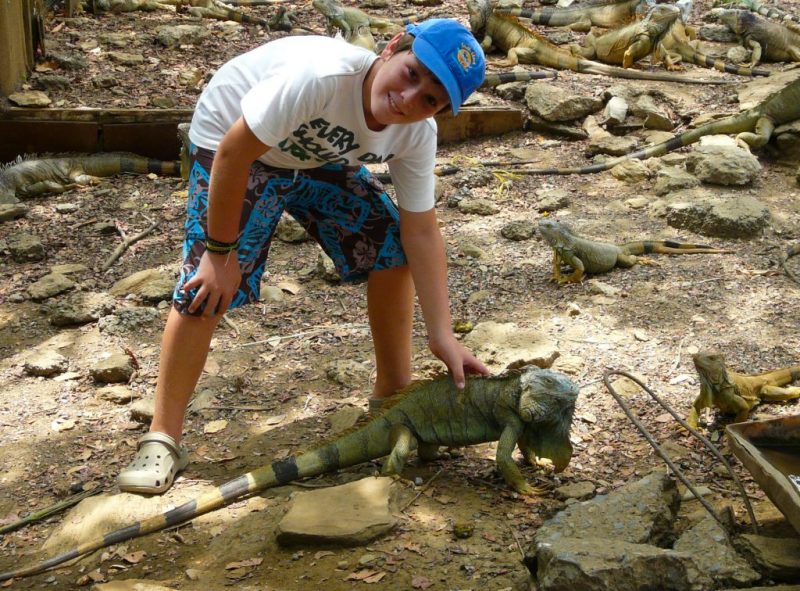 Roatan Iguana Park - Roatan 21 Tours