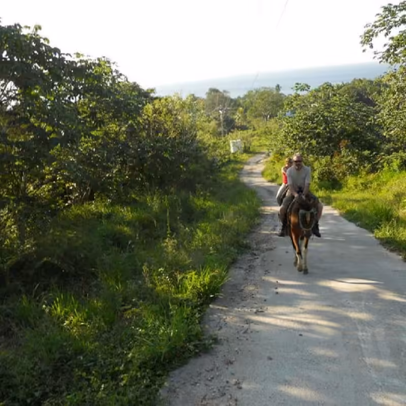 Roatan Horseback Riding Tour 7 Roatan Horseback Riding Tour