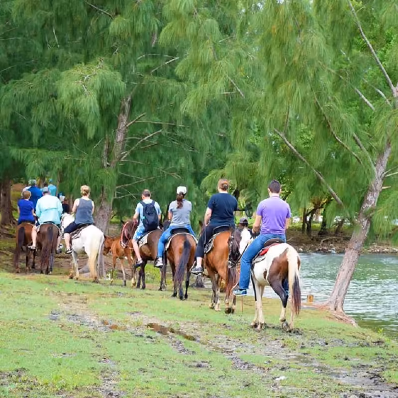 Roatan Horseback Riding Tour 6 Roatan Horseback Riding Tour
