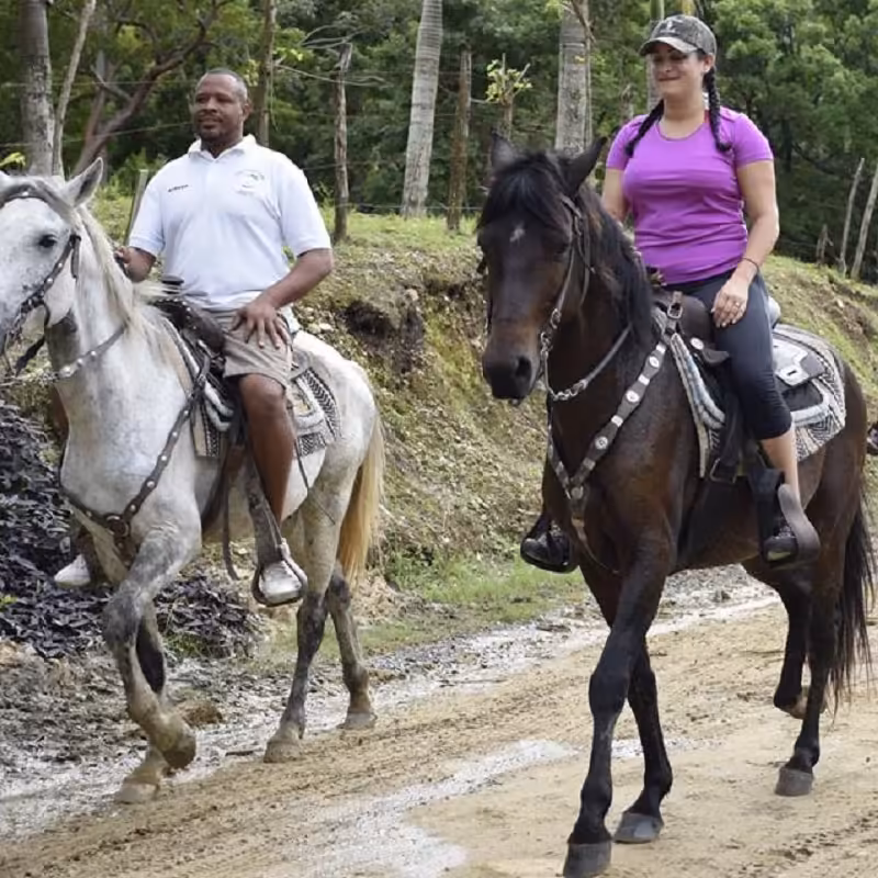 Roatan Horseback Riding Tour 9 Roatan Horseback Riding Tour